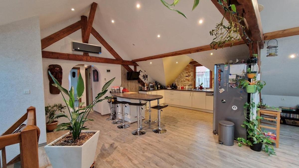 Bel Appartement 120 M² Tres Lumineux Avec Terrasse Morvillars Exterior foto